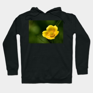 Buttercup Hoodie